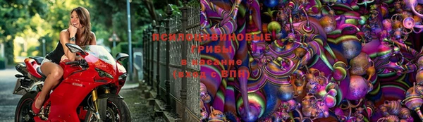МДПВ Алзамай