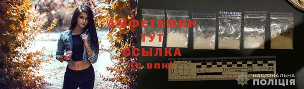 apvp Коряжма
