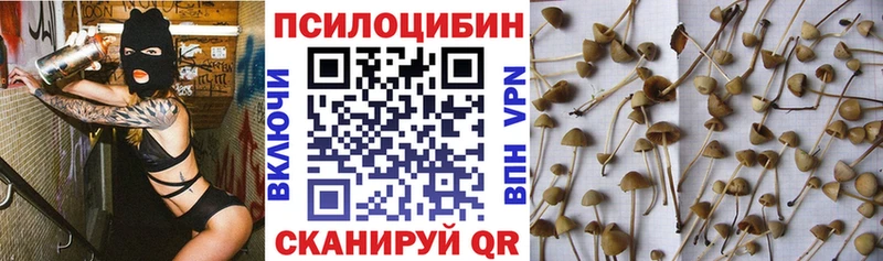 mega   Палласовка  Галлюциногенные грибы GOLDEN TEACHER 